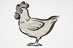 插画鸡