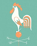插画鸡