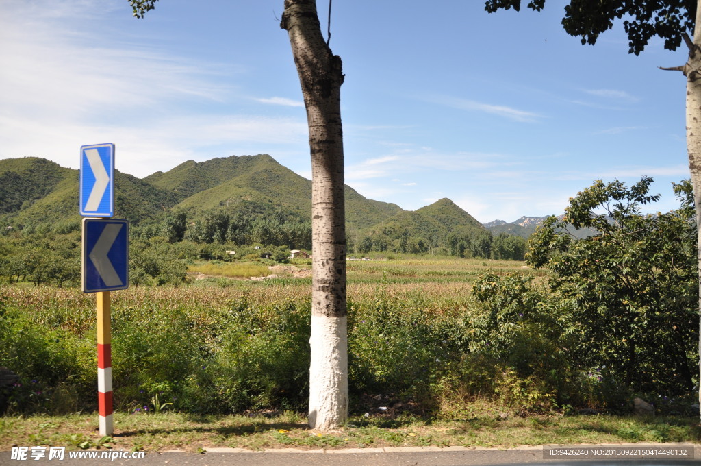 路边青山