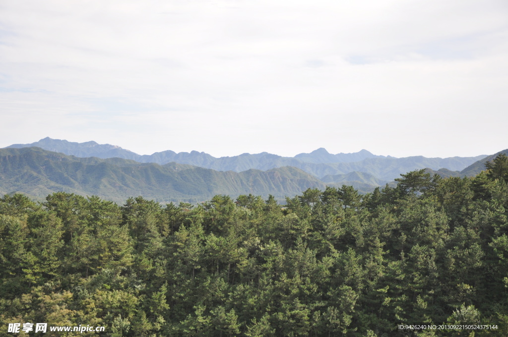 青山