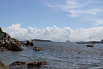 大海