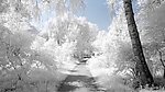 雪景