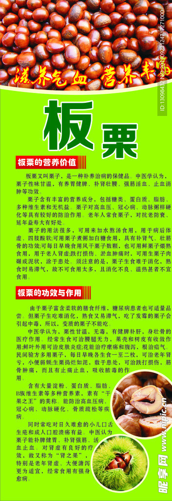 板栗x展架