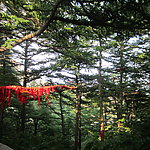 崂山