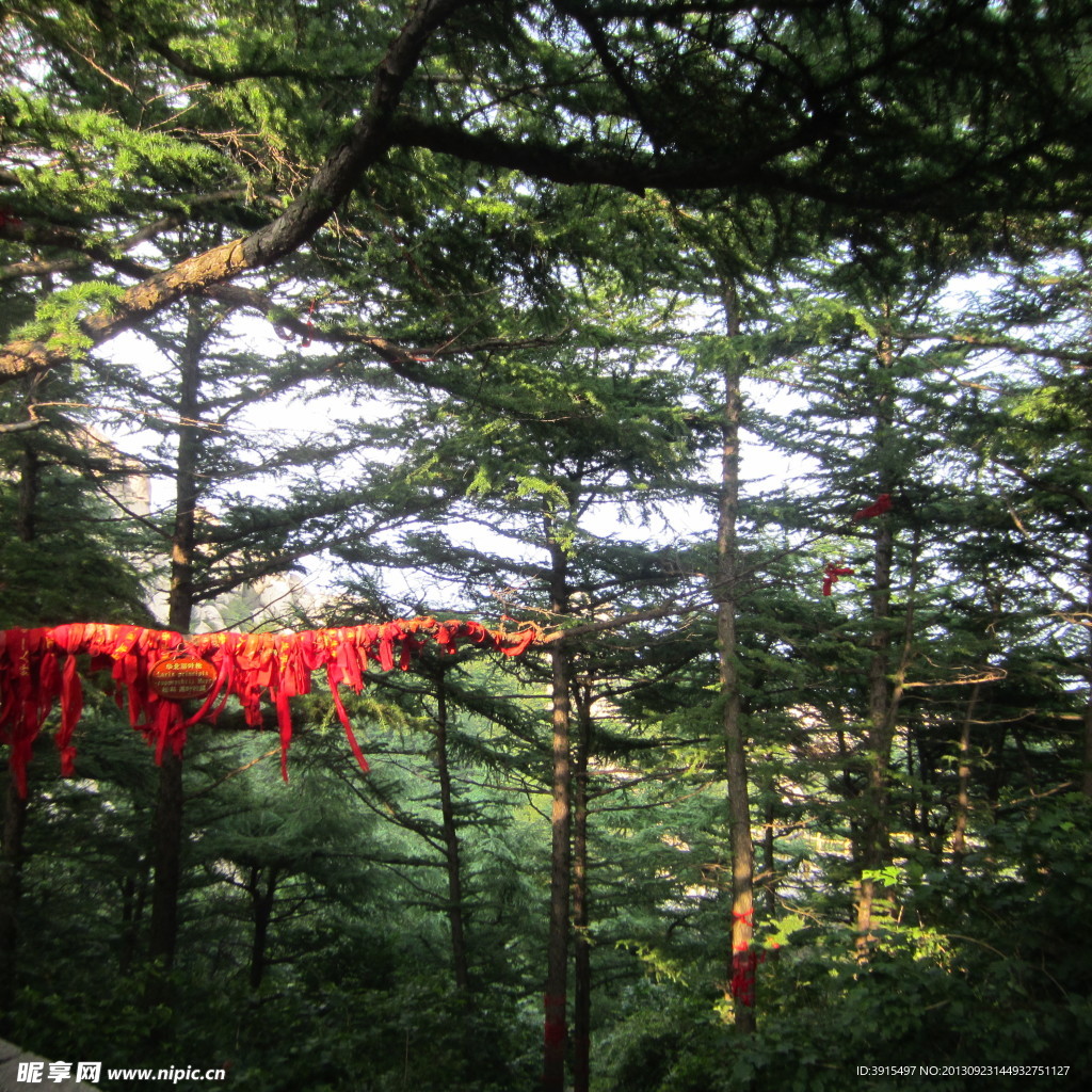 崂山