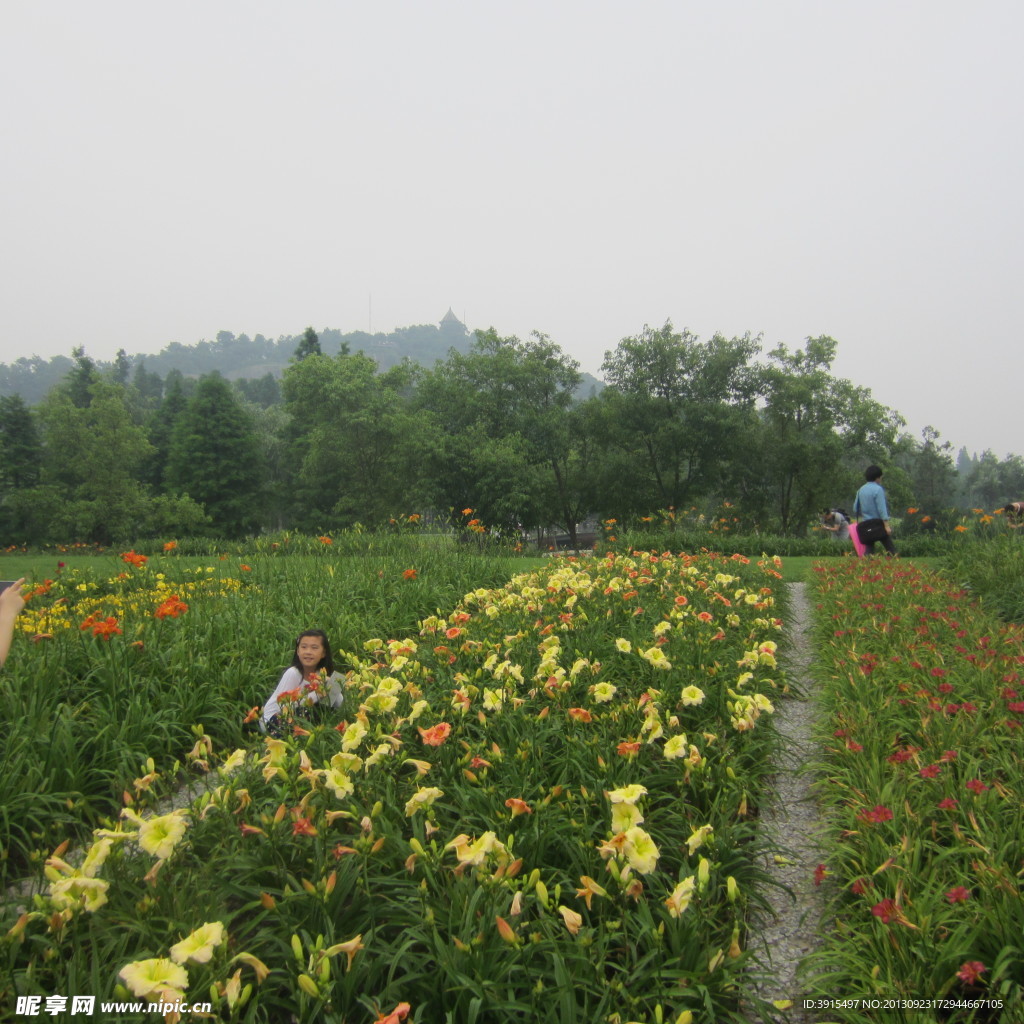 鲜花