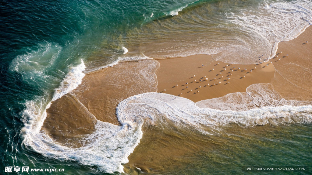 大海