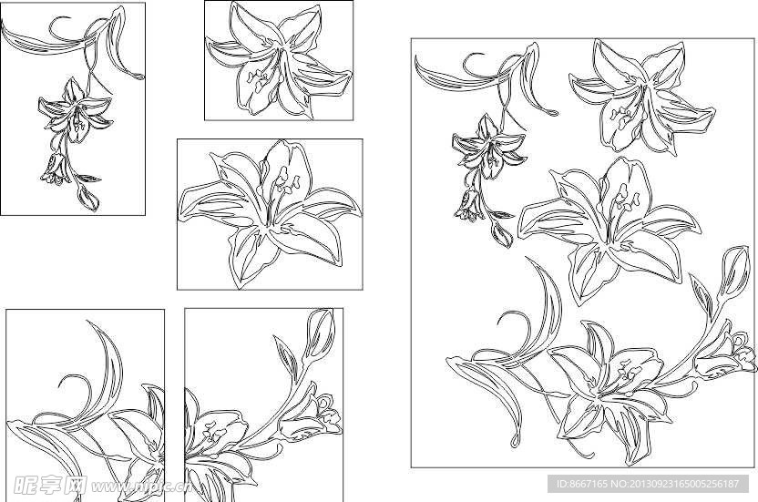 百合花