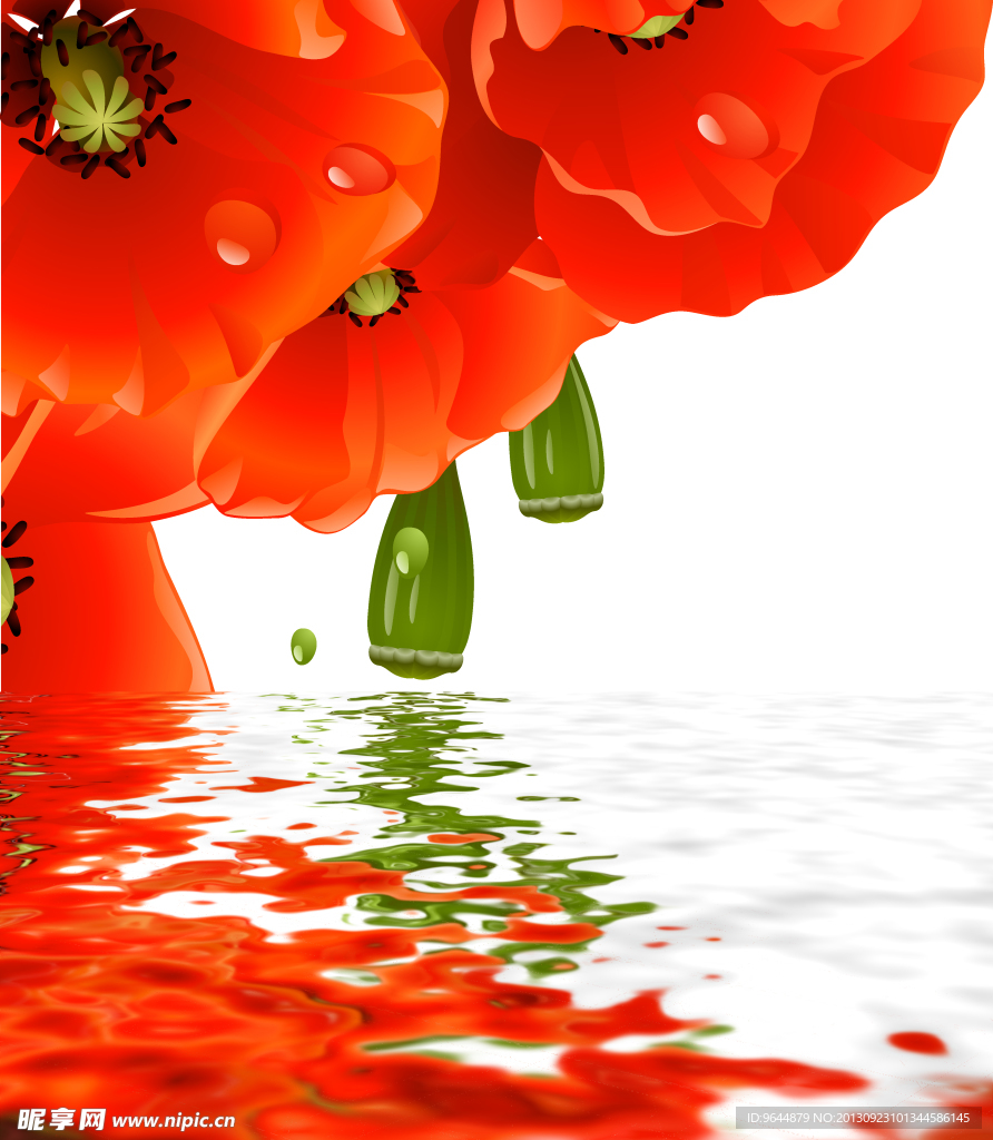 水中花卉