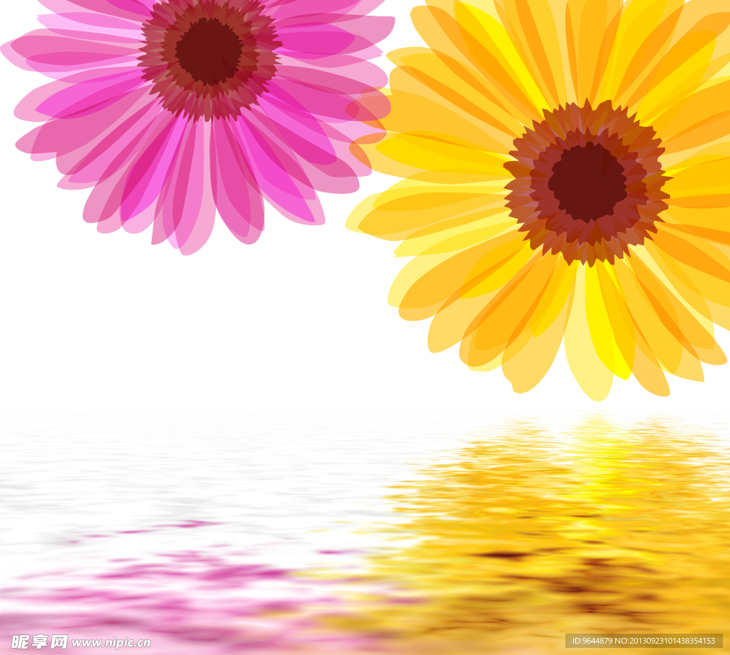 水中花卉