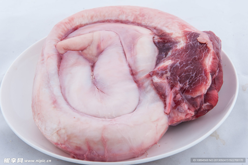 牛鞭 牛肉