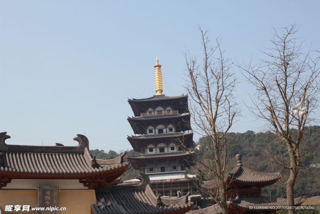 景山公园 树木 房子