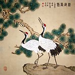 树龄鹤寿