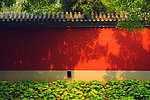 公园里的绿树红墙