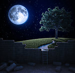 夜空风景