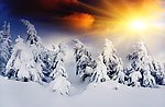 雪景