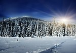雪景