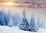 雪景