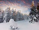 雪景