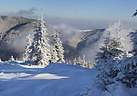 雪景
