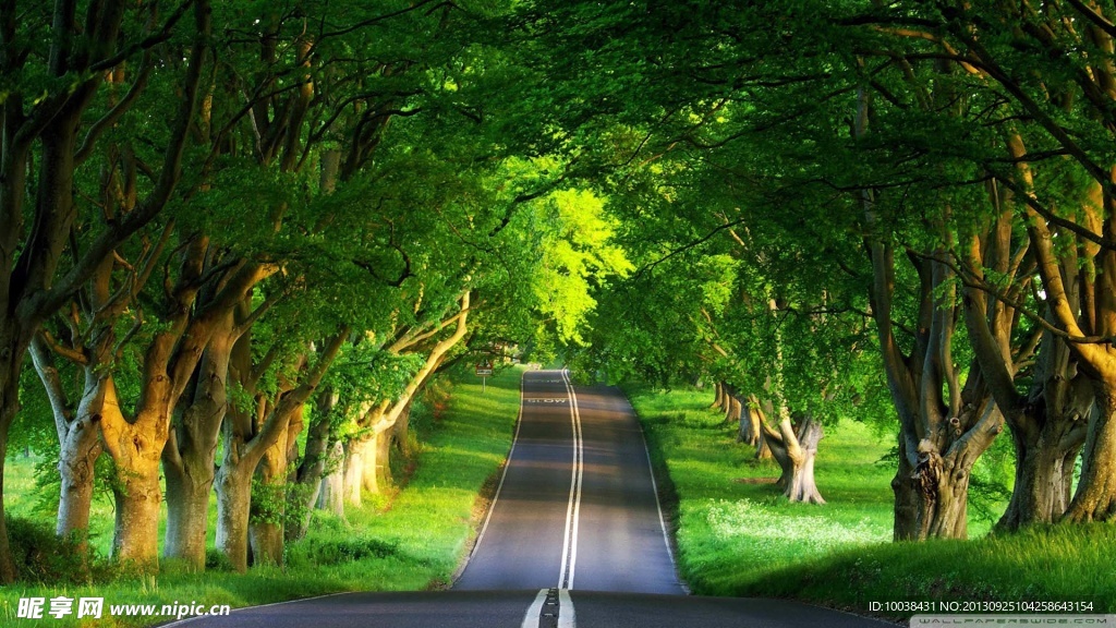 马路