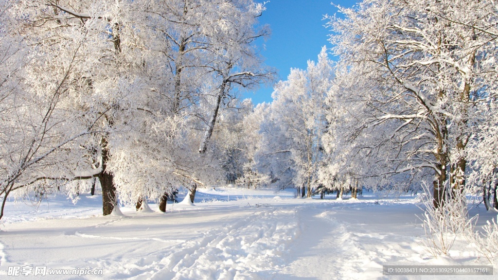 冬季雪景