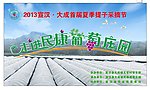葡萄采摘节
