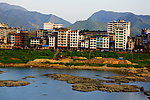 南平西芹小镇