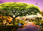 唯美风景