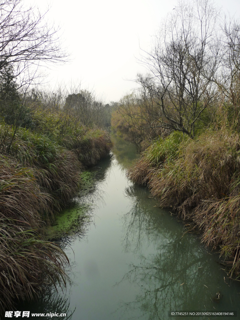 西溪湿地