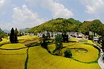 田园风光