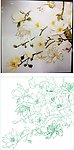 玉兰花 艺术玻璃