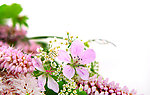 鲜花