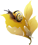 蜗牛