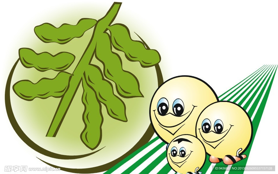 豆子