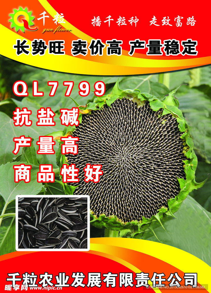 葵花QL7799