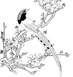 花鸟图