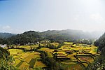 田园风光