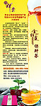金线莲展板