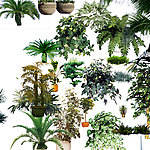 植物素材