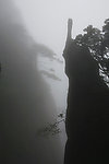 三清山奇峰