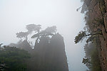 三清山奇峰怪石古树