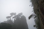 三清山奇峰怪石古树