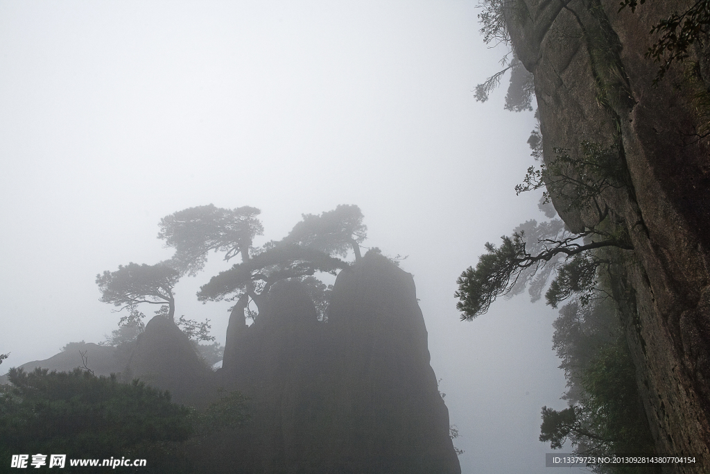 三清山奇峰怪石古树