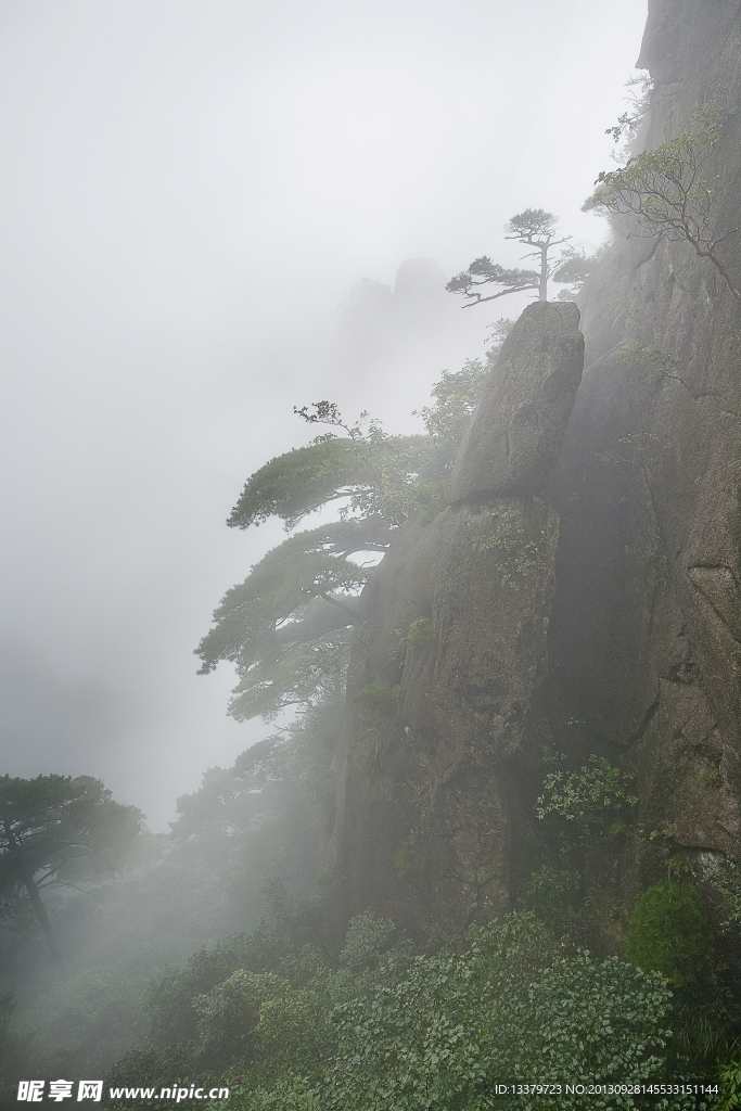 三清山 怪石古树