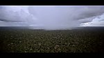 热带雨林