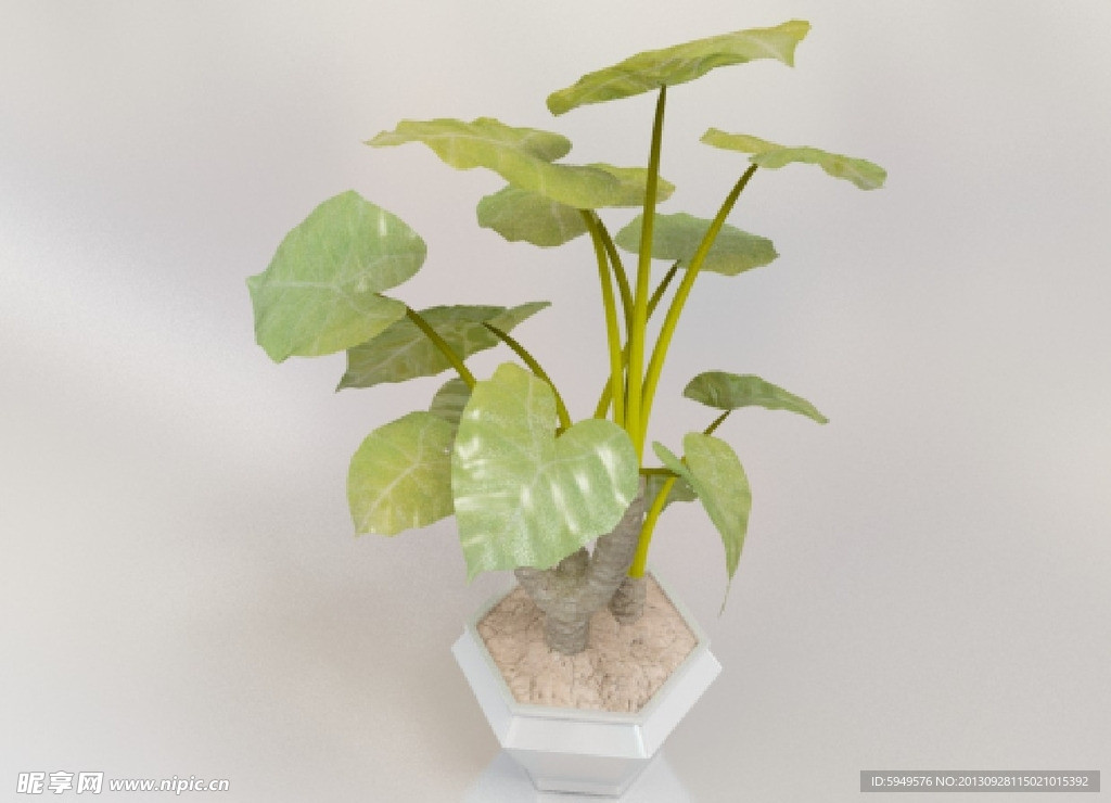 3d绿植模型