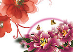 梦幻花朵 手绘牡丹