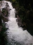 高山瀑布丛林