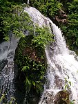 高山瀑布丛林